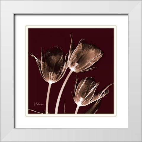 Tabitha Tulip Trio White Modern Wood Framed Art Print with Double Matting by Koetsier, Albert