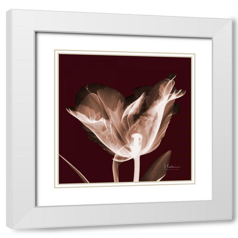 Tabitha Tulip Single White Modern Wood Framed Art Print with Double Matting by Koetsier, Albert