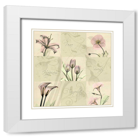 Spring Squares 1 White Modern Wood Framed Art Print with Double Matting by Koetsier, Albert