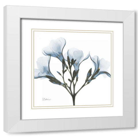 May Flowers White Modern Wood Framed Art Print with Double Matting by Koetsier, Albert