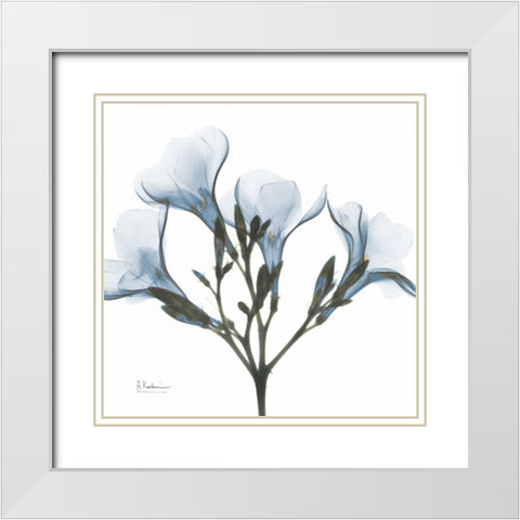 May Flowers White Modern Wood Framed Art Print with Double Matting by Koetsier, Albert