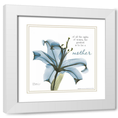 Mother Lily A36 White Modern Wood Framed Art Print with Double Matting by Koetsier, Albert