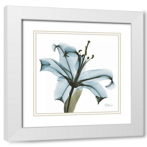 May Lily White Modern Wood Framed Art Print with Double Matting by Koetsier, Albert