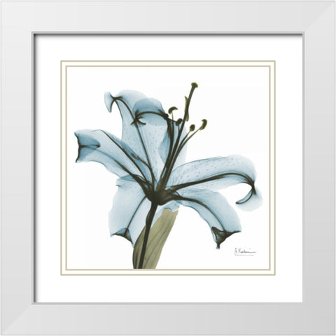 May Lily White Modern Wood Framed Art Print with Double Matting by Koetsier, Albert