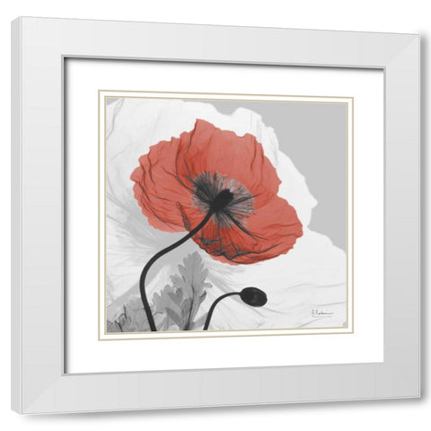 Poppy Prince White Modern Wood Framed Art Print with Double Matting by Koetsier, Albert