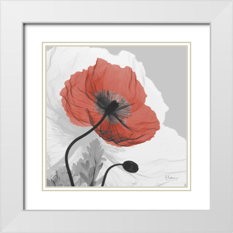 Poppy Prince White Modern Wood Framed Art Print with Double Matting by Koetsier, Albert