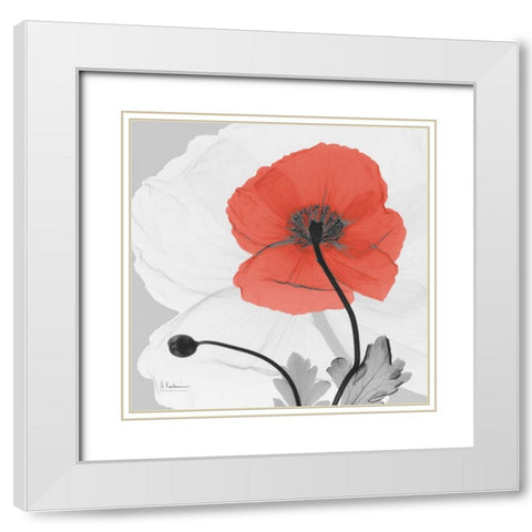 Poppy Princess White Modern Wood Framed Art Print with Double Matting by Koetsier, Albert