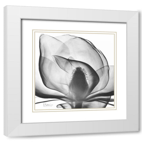 Magnolia A43 White Modern Wood Framed Art Print with Double Matting by Koetsier, Albert