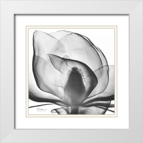 Magnolia A43 White Modern Wood Framed Art Print with Double Matting by Koetsier, Albert