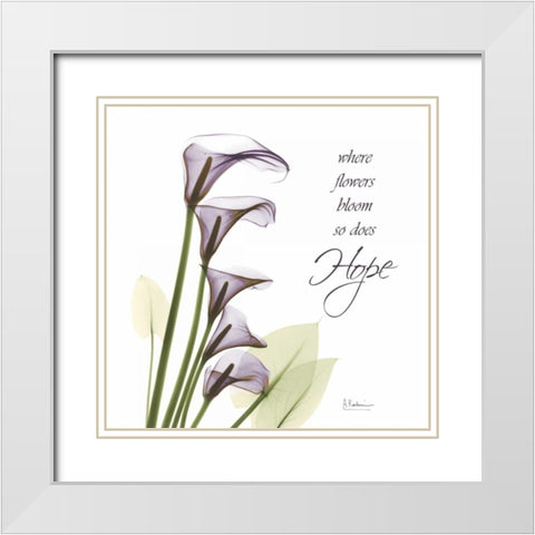 Swaying Callas - Hope White Modern Wood Framed Art Print with Double Matting by Koetsier, Albert