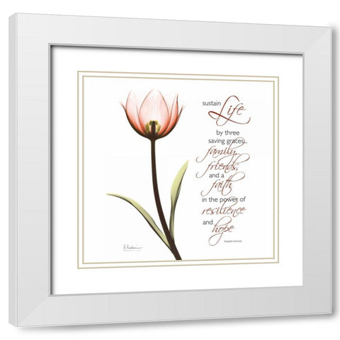 Swaying Tulip Pink - Life White Modern Wood Framed Art Print with Double Matting by Koetsier, Albert