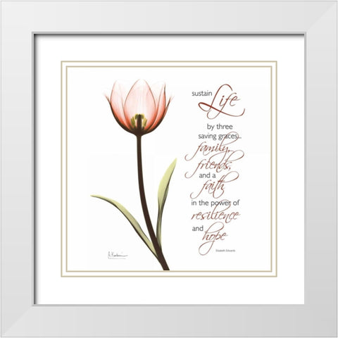 Swaying Tulip Pink - Life White Modern Wood Framed Art Print with Double Matting by Koetsier, Albert