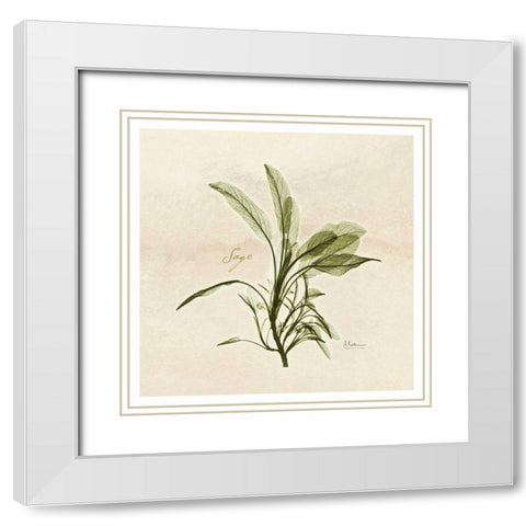 Sage in Bloom White Modern Wood Framed Art Print with Double Matting by Koetsier, Albert