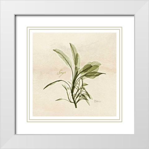 Sage in Bloom White Modern Wood Framed Art Print with Double Matting by Koetsier, Albert