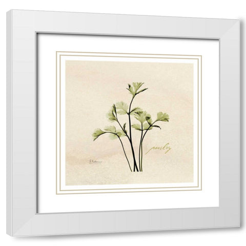 Parsley in Bloom White Modern Wood Framed Art Print with Double Matting by Koetsier, Albert