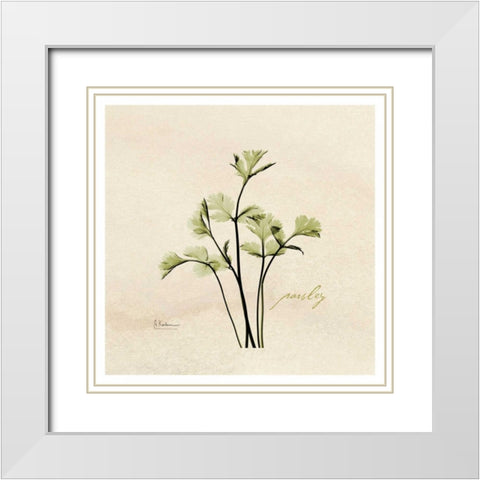 Parsley in Bloom White Modern Wood Framed Art Print with Double Matting by Koetsier, Albert