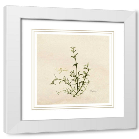 Thyme in Bloom White Modern Wood Framed Art Print with Double Matting by Koetsier, Albert