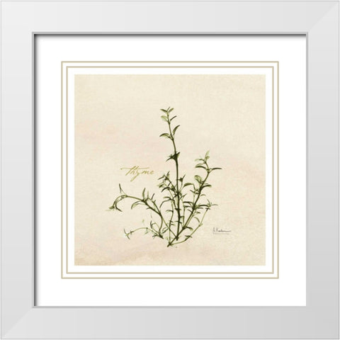 Thyme in Bloom White Modern Wood Framed Art Print with Double Matting by Koetsier, Albert