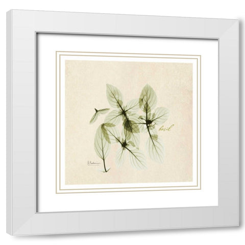 Basil in Bloom White Modern Wood Framed Art Print with Double Matting by Koetsier, Albert