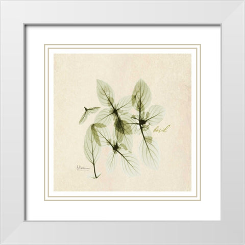 Basil in Bloom White Modern Wood Framed Art Print with Double Matting by Koetsier, Albert