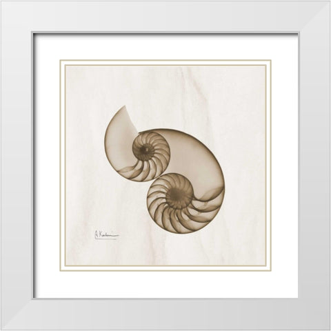 Brown Shell Pair White Modern Wood Framed Art Print with Double Matting by Koetsier, Albert