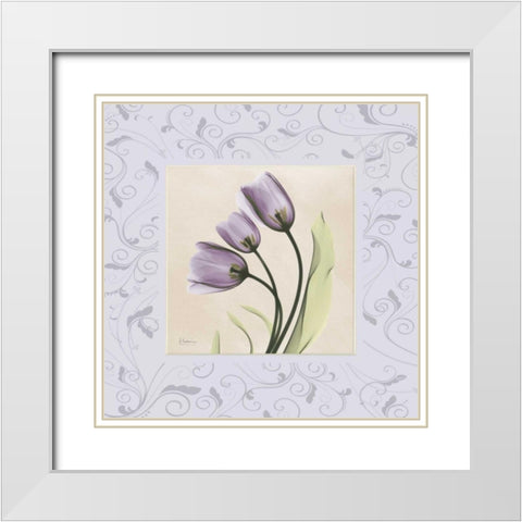 Purple Tulips on Purple Damask White Modern Wood Framed Art Print with Double Matting by Koetsier, Albert