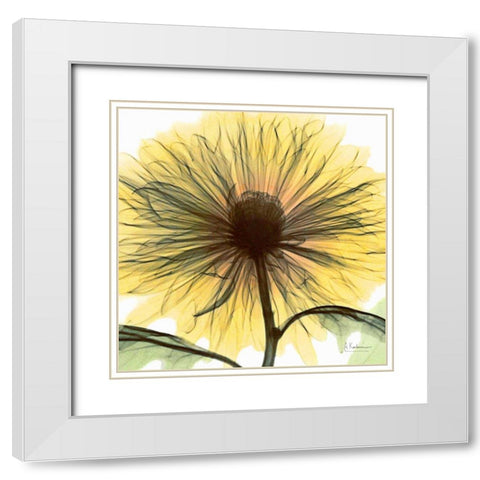 Dream in Yellow White Modern Wood Framed Art Print with Double Matting by Koetsier, Albert