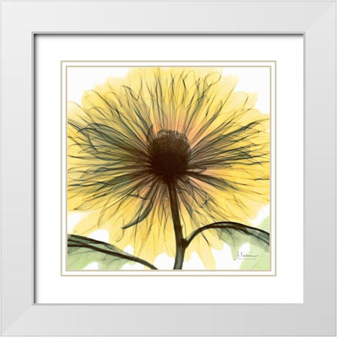 Dream in Yellow White Modern Wood Framed Art Print with Double Matting by Koetsier, Albert