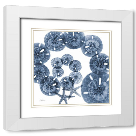 Collage of  Sand Dollars and Starfish White Modern Wood Framed Art Print with Double Matting by Koetsier, Albert