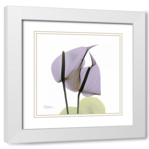 A Gift of Flowers in Lavender White Modern Wood Framed Art Print with Double Matting by Koetsier, Albert