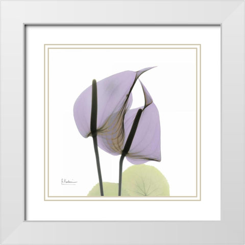 A Gift of Flowers in Lavender White Modern Wood Framed Art Print with Double Matting by Koetsier, Albert