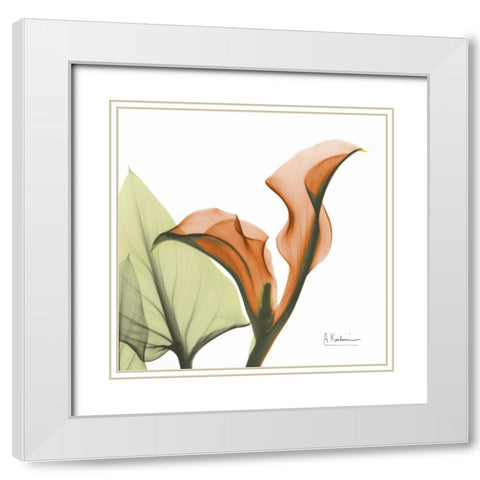 A Gift of Calla Lilies in Orange White Modern Wood Framed Art Print with Double Matting by Koetsier, Albert