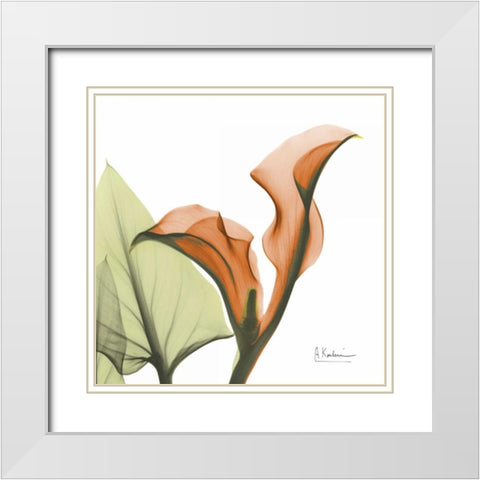 A Gift of Calla Lilies in Orange White Modern Wood Framed Art Print with Double Matting by Koetsier, Albert