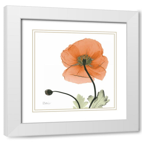 A Gift of Flowers in Orange White Modern Wood Framed Art Print with Double Matting by Koetsier, Albert