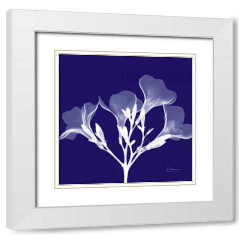 Crocuss White on Purple White Modern Wood Framed Art Print with Double Matting by Koetsier, Albert