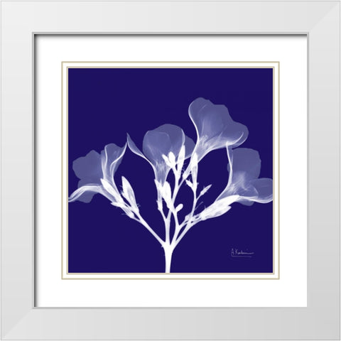 Crocuss White on Purple White Modern Wood Framed Art Print with Double Matting by Koetsier, Albert