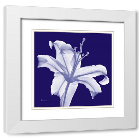 Lily White on Purple White Modern Wood Framed Art Print with Double Matting by Koetsier, Albert