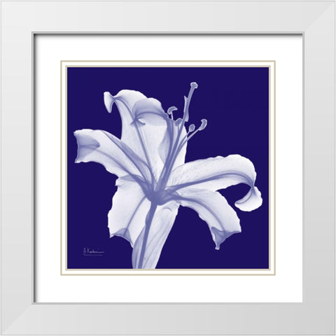 Lily White on Purple White Modern Wood Framed Art Print with Double Matting by Koetsier, Albert