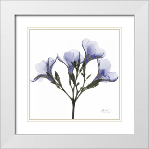 Crocuss in Purple White Modern Wood Framed Art Print with Double Matting by Koetsier, Albert