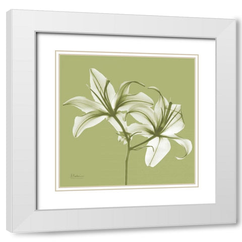 Twin Lilies on Pale Green White Modern Wood Framed Art Print with Double Matting by Koetsier, Albert