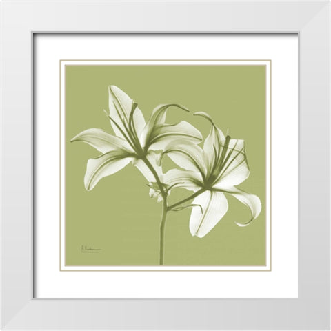 Twin Lilies on Pale Green White Modern Wood Framed Art Print with Double Matting by Koetsier, Albert