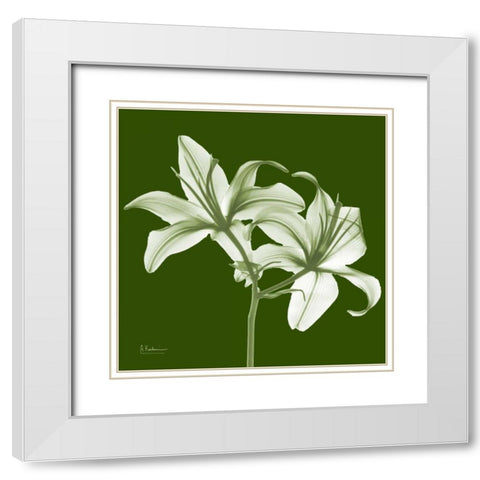 Twin Lilies on Green White Modern Wood Framed Art Print with Double Matting by Koetsier, Albert