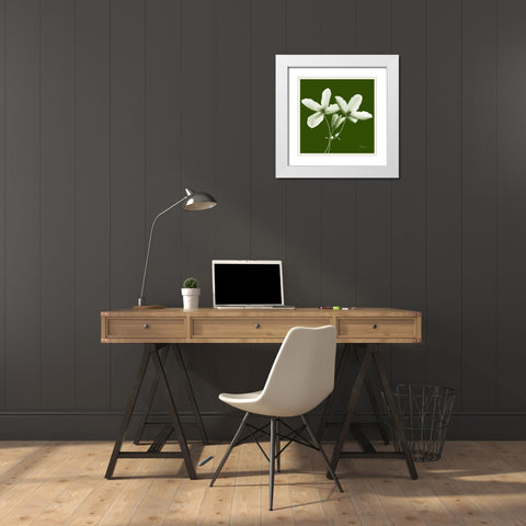 Twin Buds on Green White Modern Wood Framed Art Print with Double Matting by Koetsier, Albert