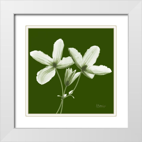 Twin Buds on Green White Modern Wood Framed Art Print with Double Matting by Koetsier, Albert