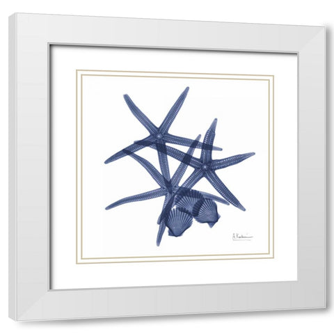 Sea Life in Blue White Modern Wood Framed Art Print with Double Matting by Koetsier, Albert