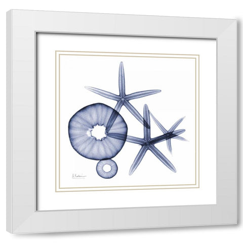 Sea Life in Blue 2 White Modern Wood Framed Art Print with Double Matting by Koetsier, Albert