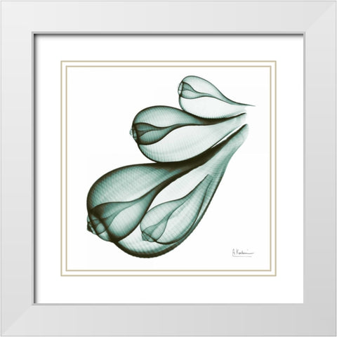 Sea Shells in Green White Modern Wood Framed Art Print with Double Matting by Koetsier, Albert