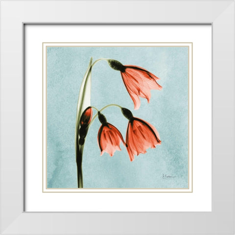 Snow Drop Faith_MAT White Modern Wood Framed Art Print with Double Matting by Koetsier, Albert