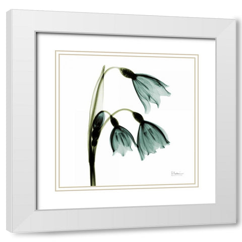 Three Tulips in Green White Modern Wood Framed Art Print with Double Matting by Koetsier, Albert