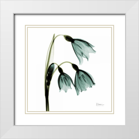 Three Tulips in Green White Modern Wood Framed Art Print with Double Matting by Koetsier, Albert